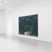 Harold Ancart David Zwirner