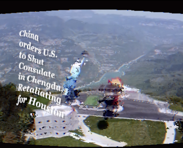 Silkworm Pupas JinJin Xu Jiaoyang Li