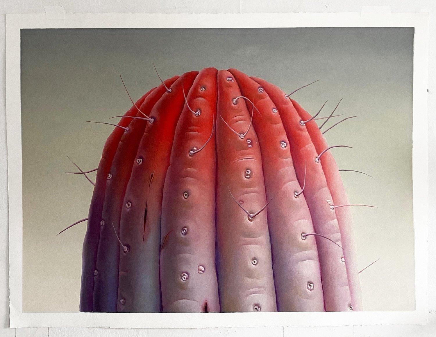 Eliza Williams. Blushing Cactus. Upstate Art Weekend. UPAW.
