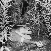 Rita Leistner and Don McKellar abandoned train track