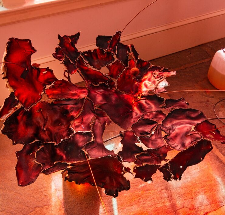 A red object on the floor AI-generated content may be incorrect.