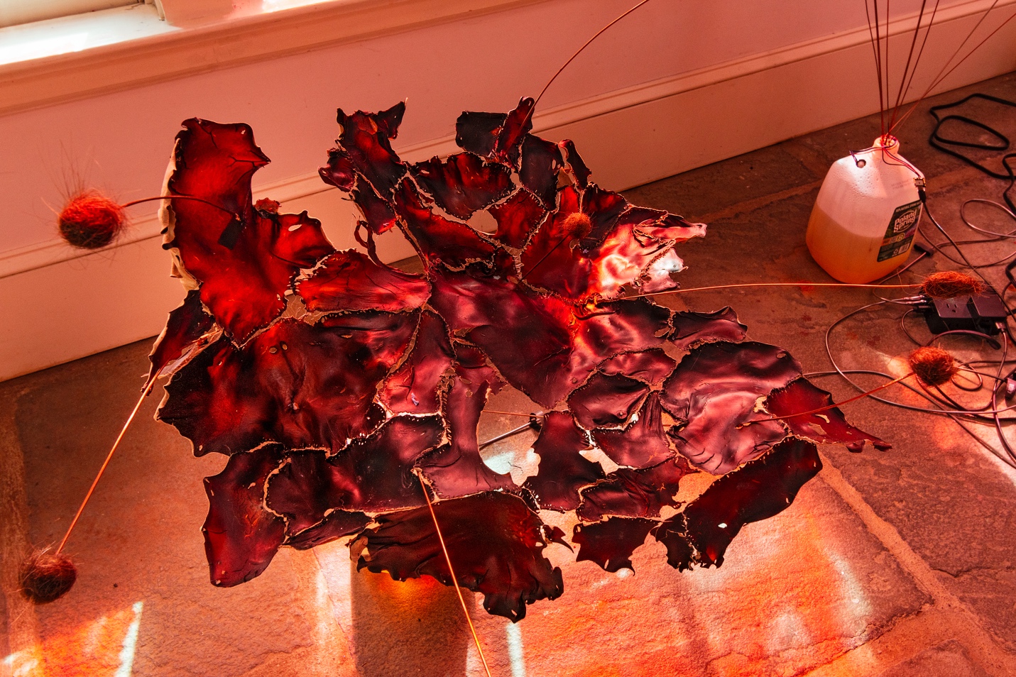 A red object on the floorAI-generated content may be incorrect.