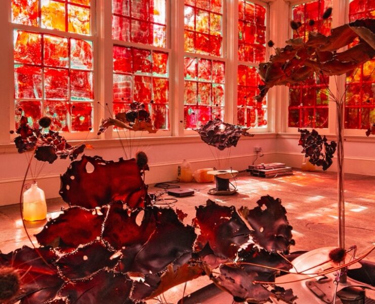 A room with a large window AI-generated content may be incorrect.