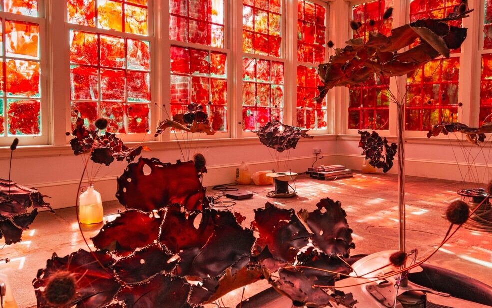 A room with a large window AI-generated content may be incorrect.