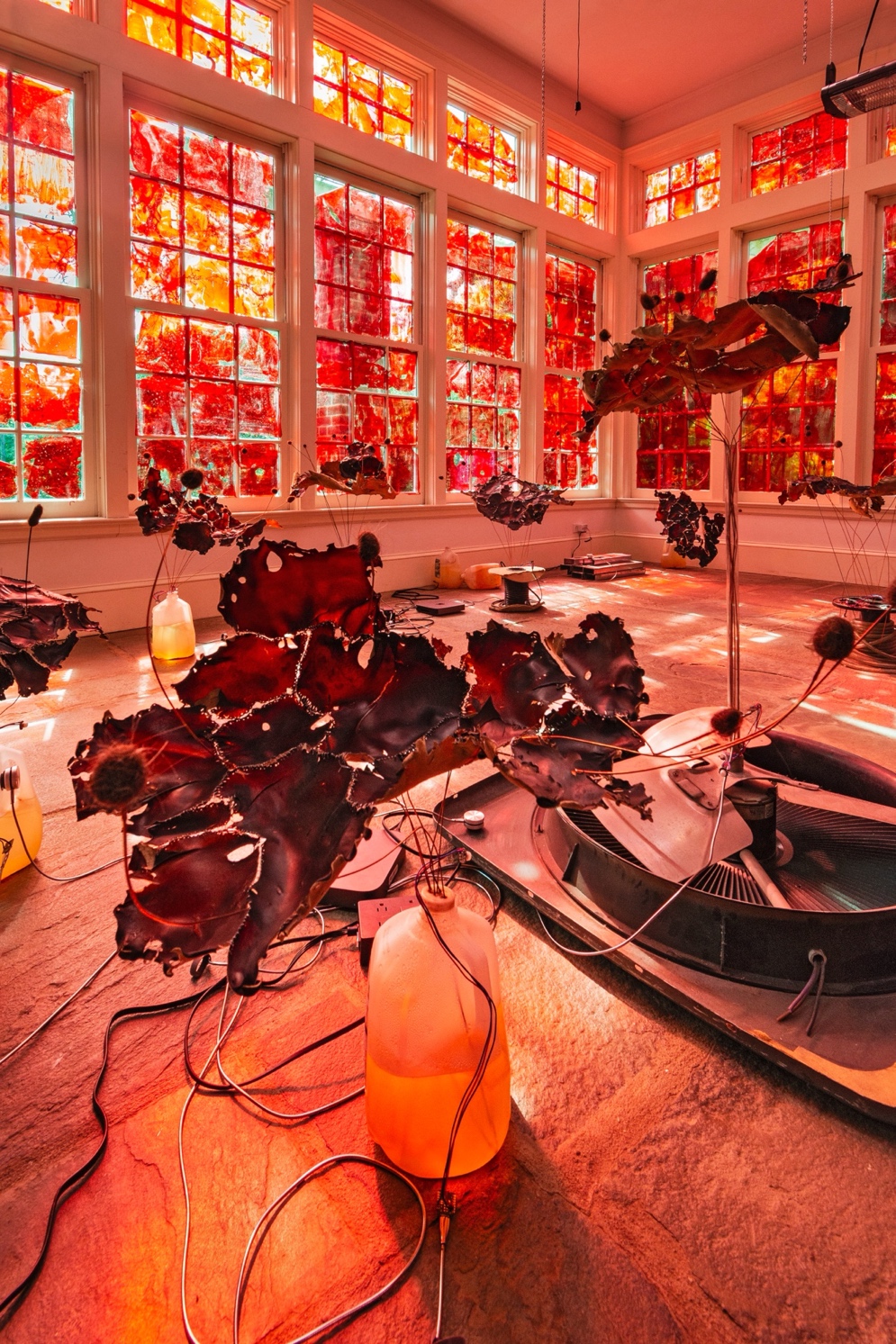 A room with a large windowAI-generated content may be incorrect.